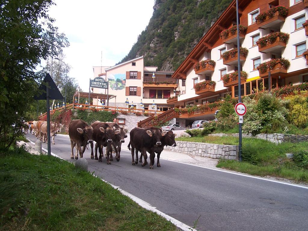 Oriental 3*