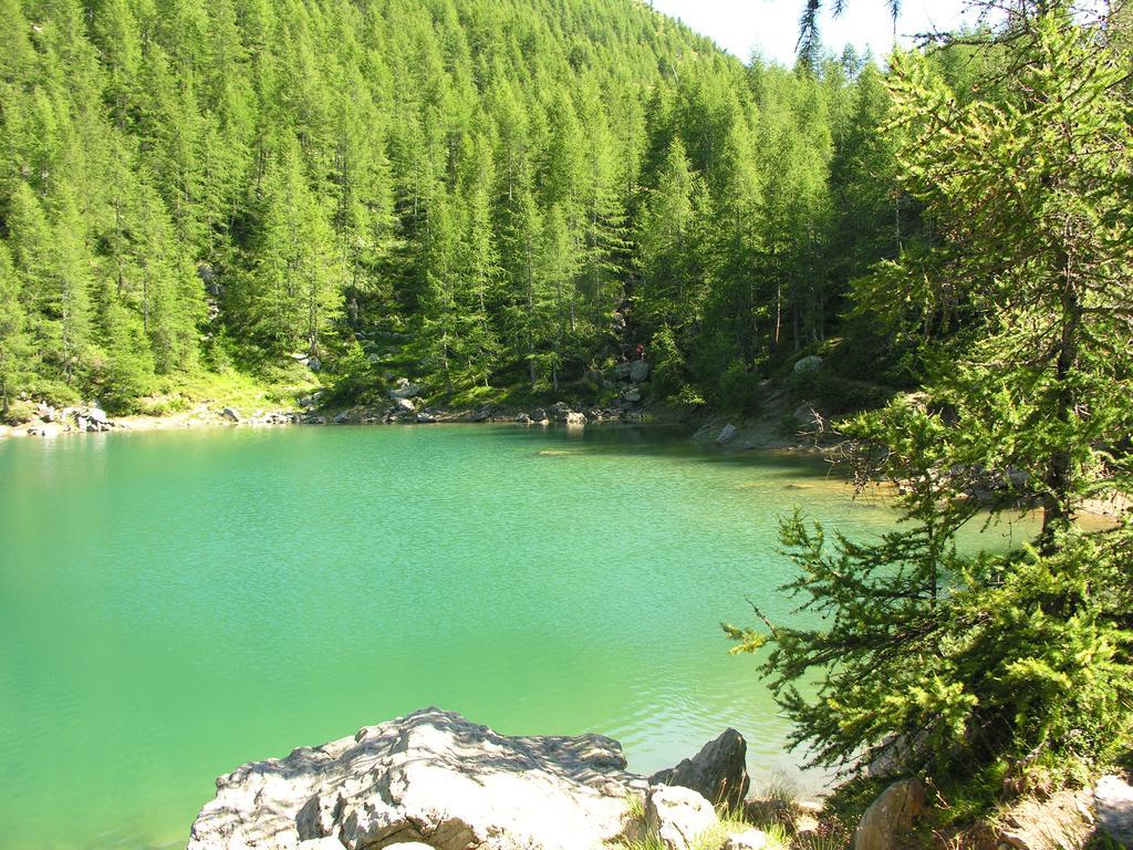 Alps Oriental Wellness Hotel 3*