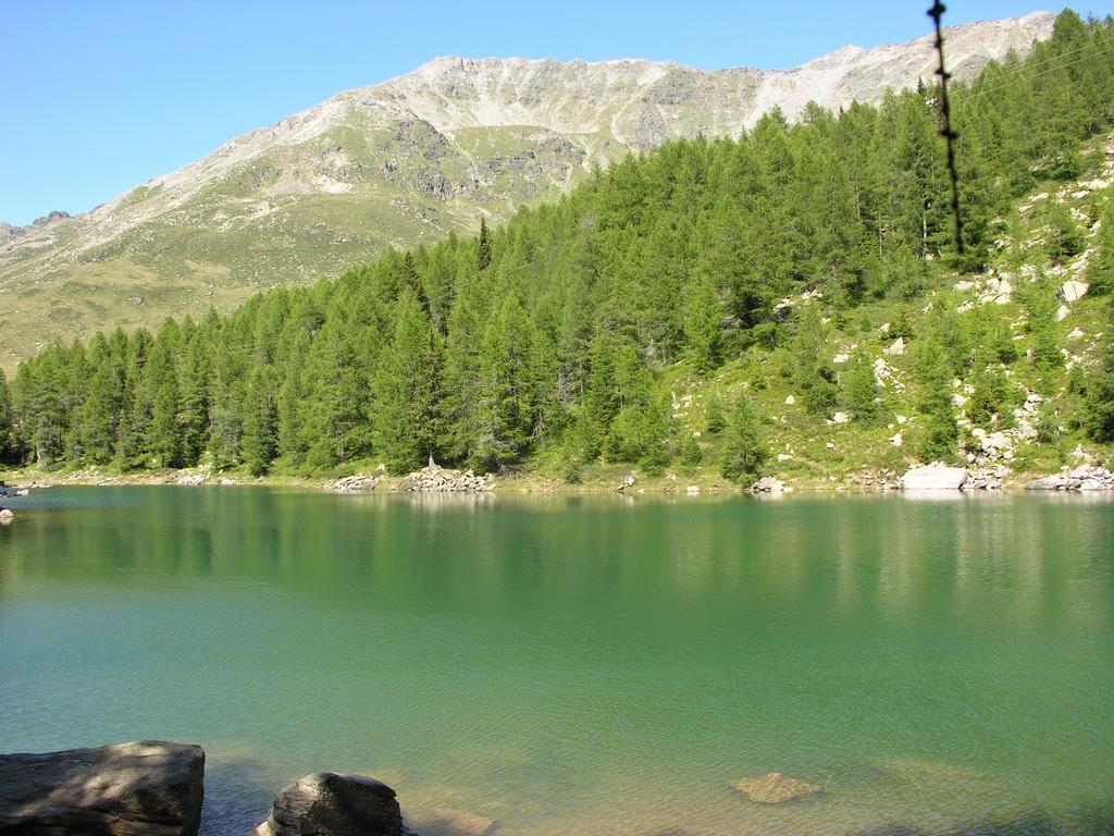 Alps Oriental Wellness